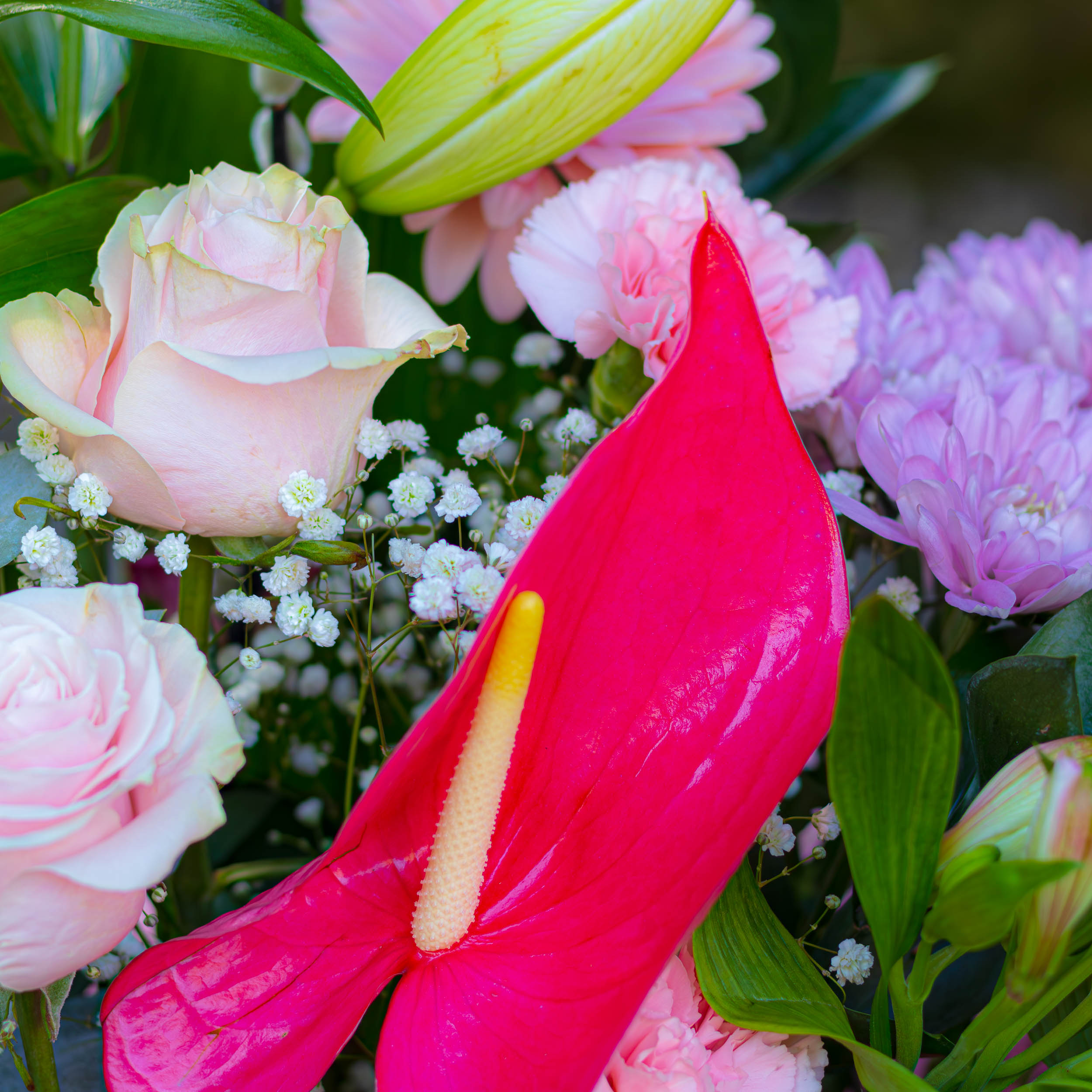 Pink Magic - Image 3
