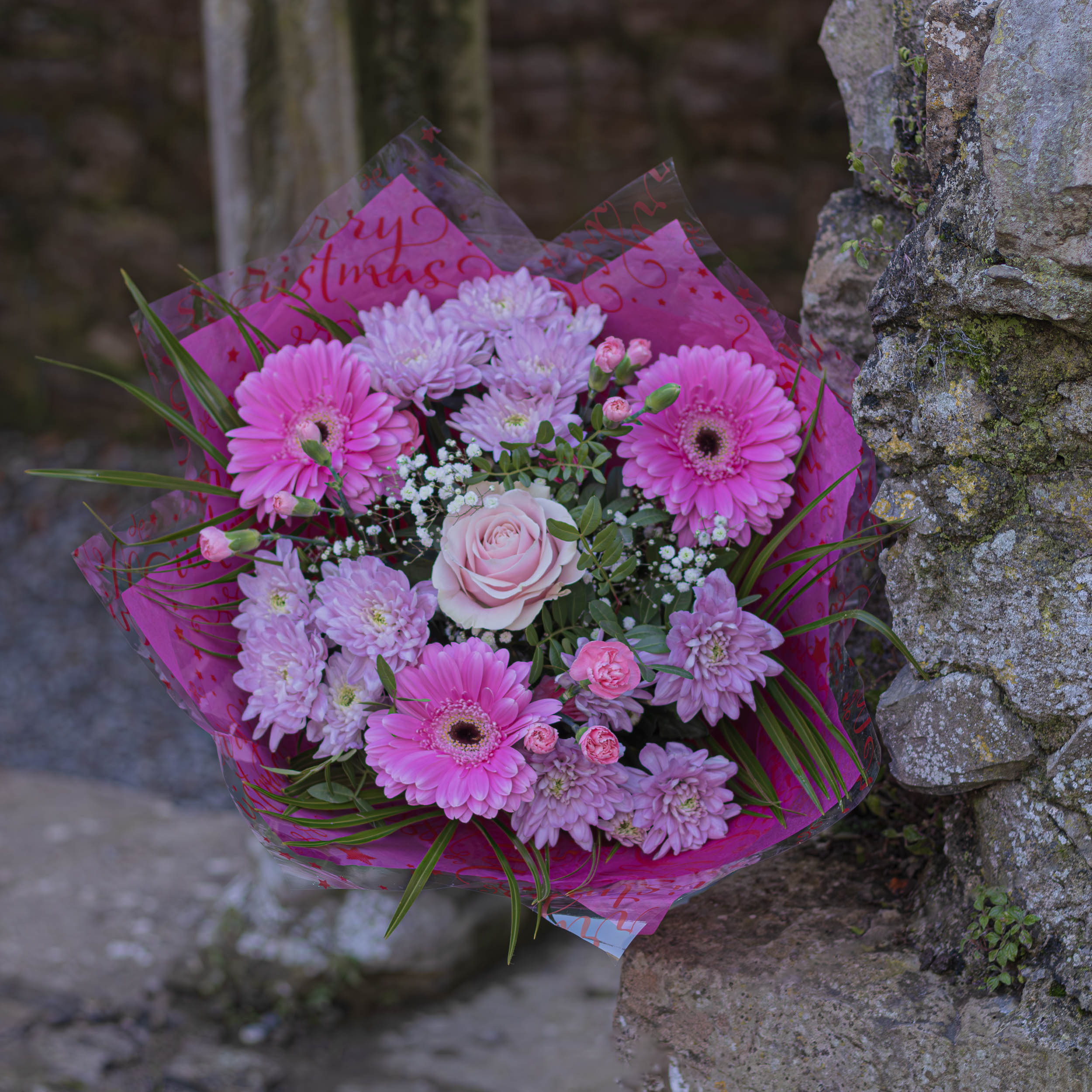 Pink Express - Image 2