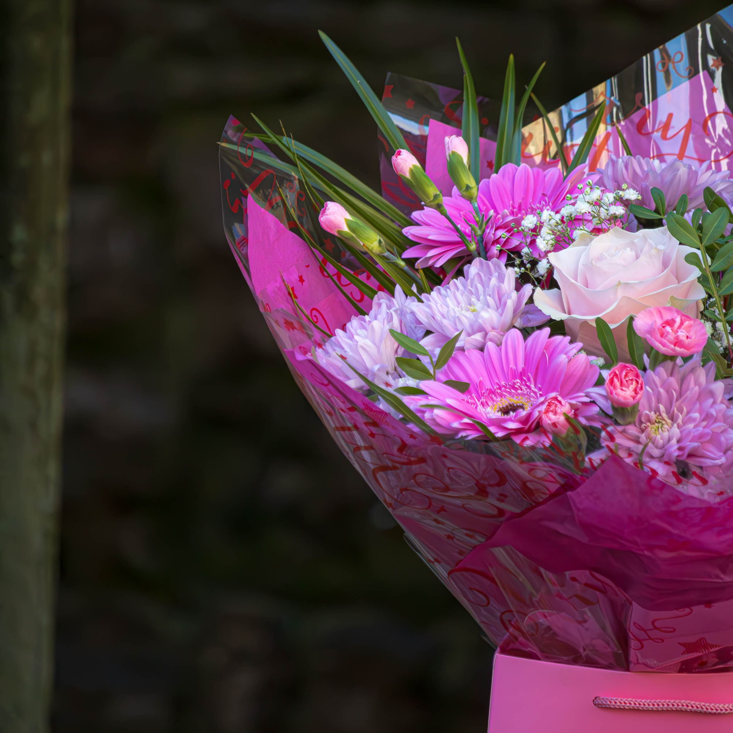 Pink Express - Image 3