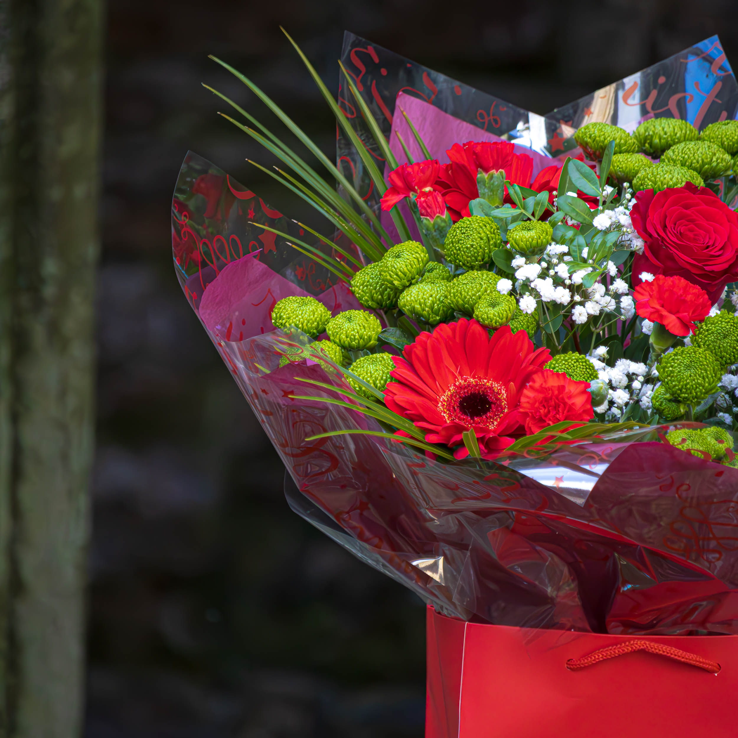 Red Magic - Image 3