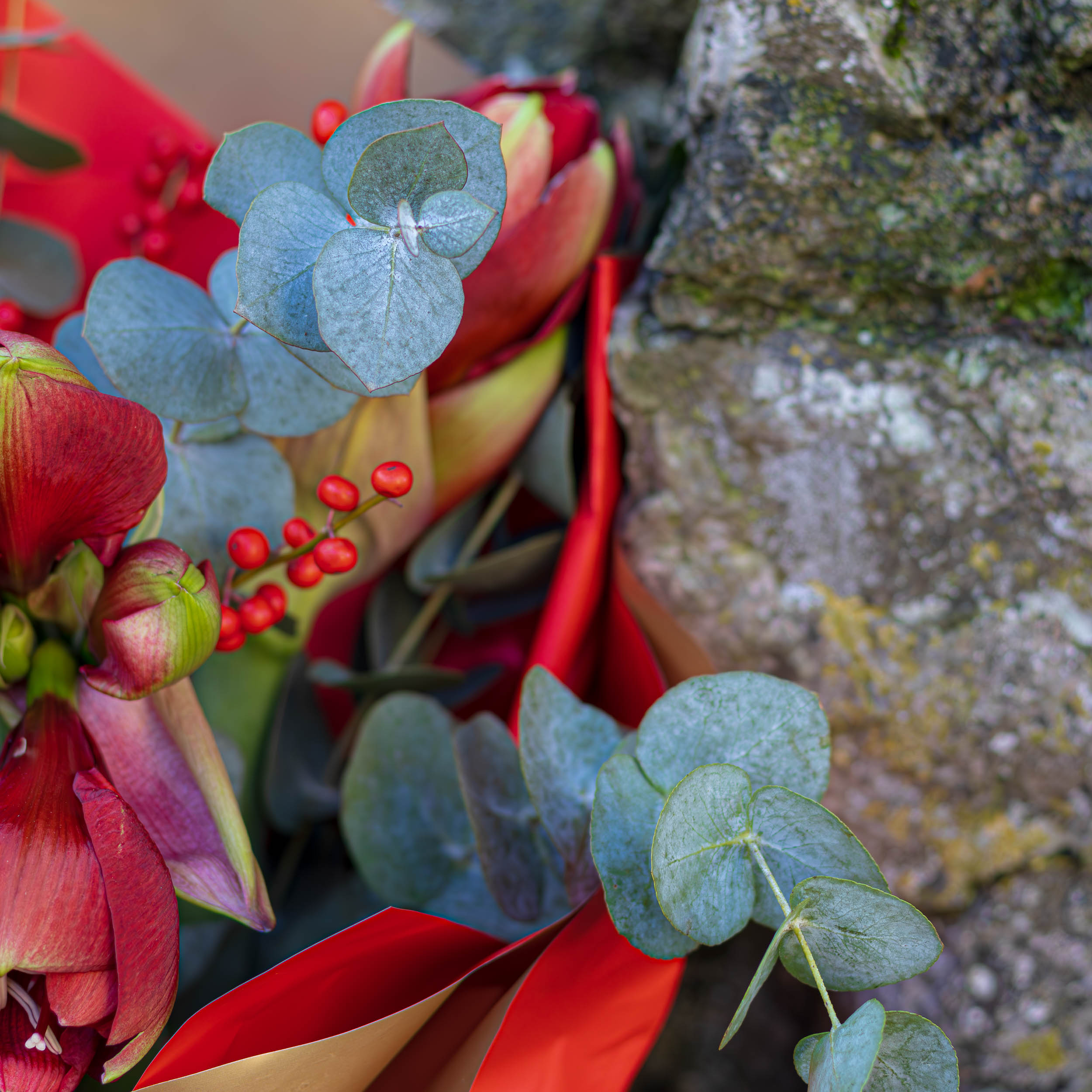 Festive Red - Image 2