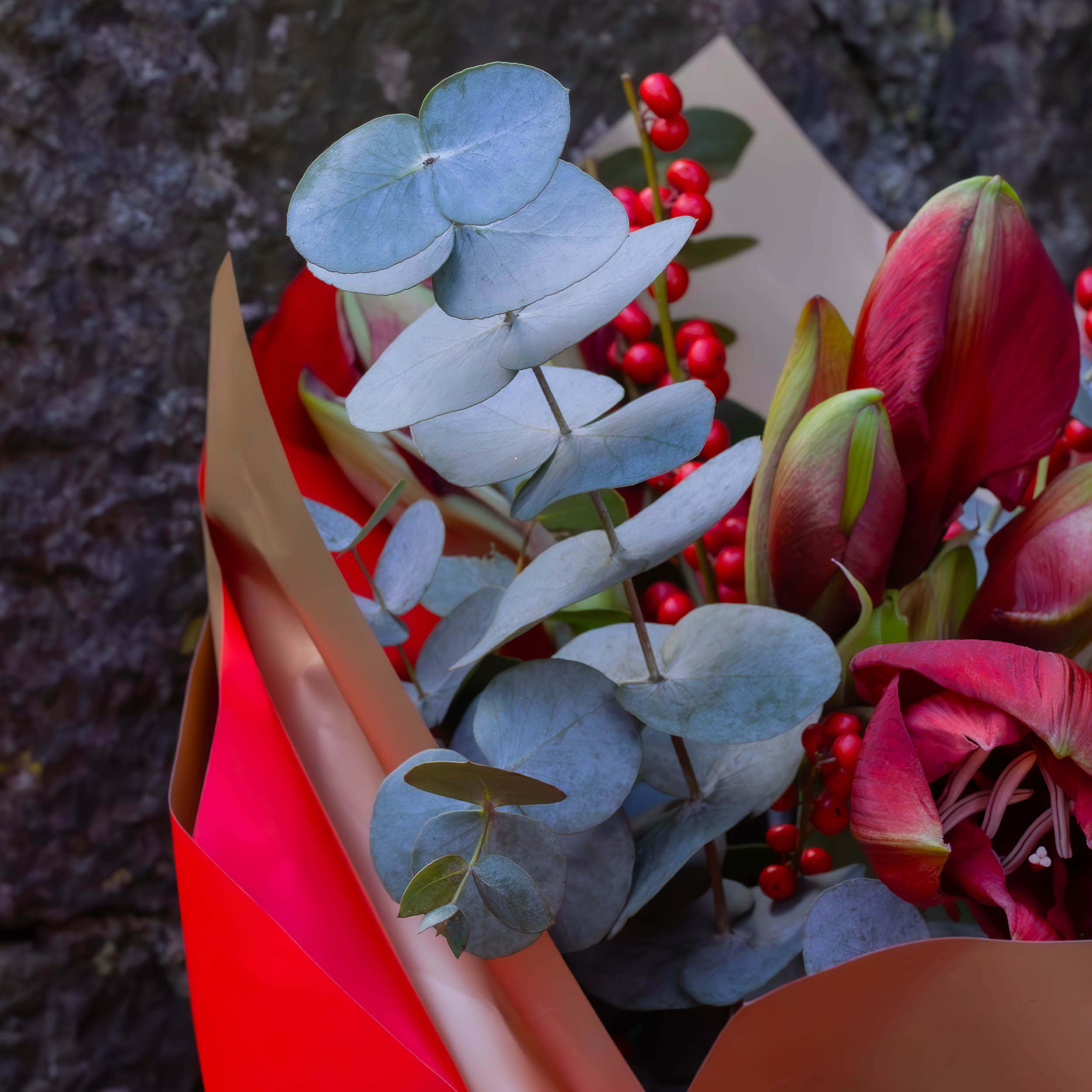 Festive Red - Image 3