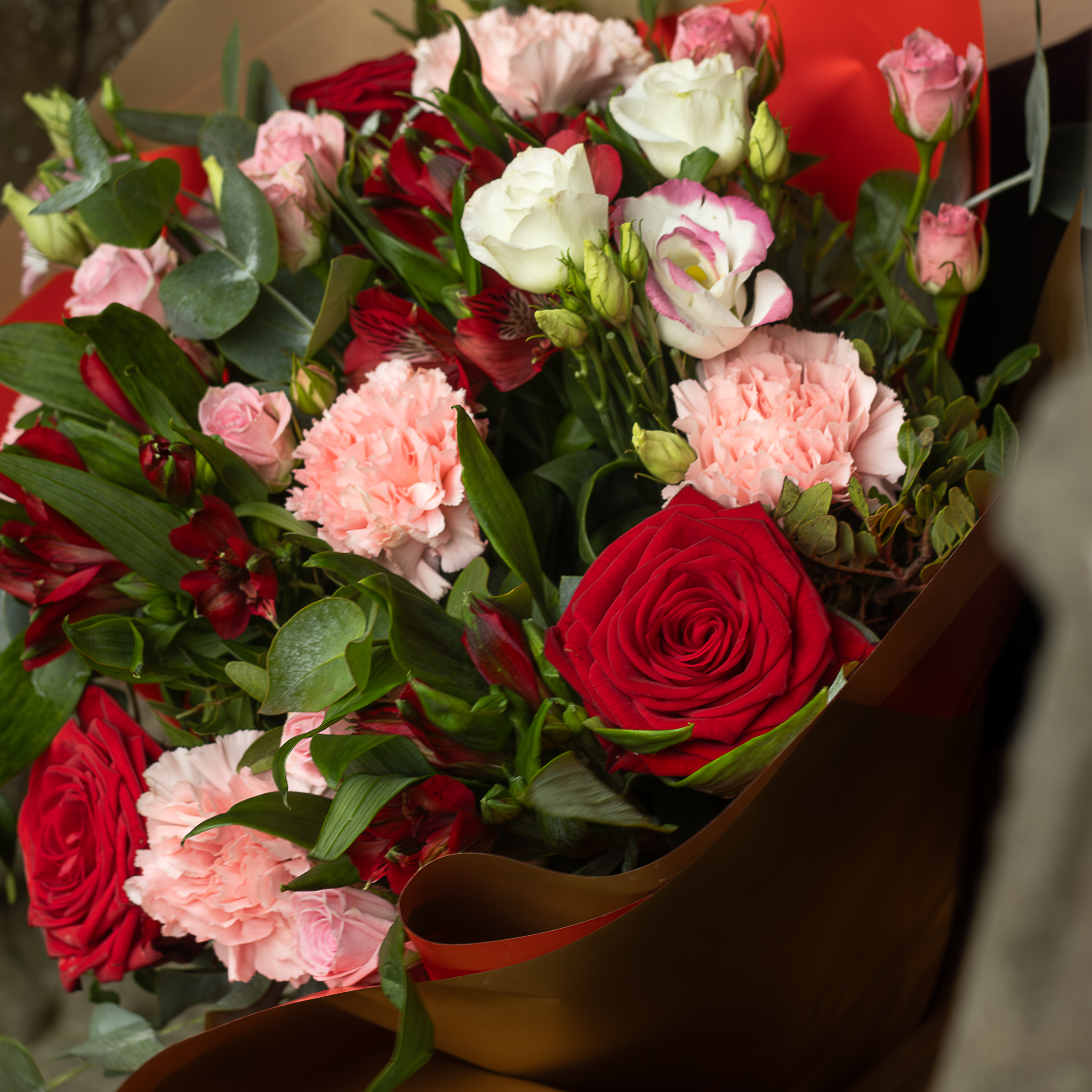 Beauty - Image 3