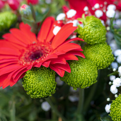 Florist Choice - Medium