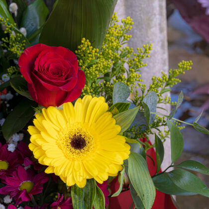 Florist Choice - Large