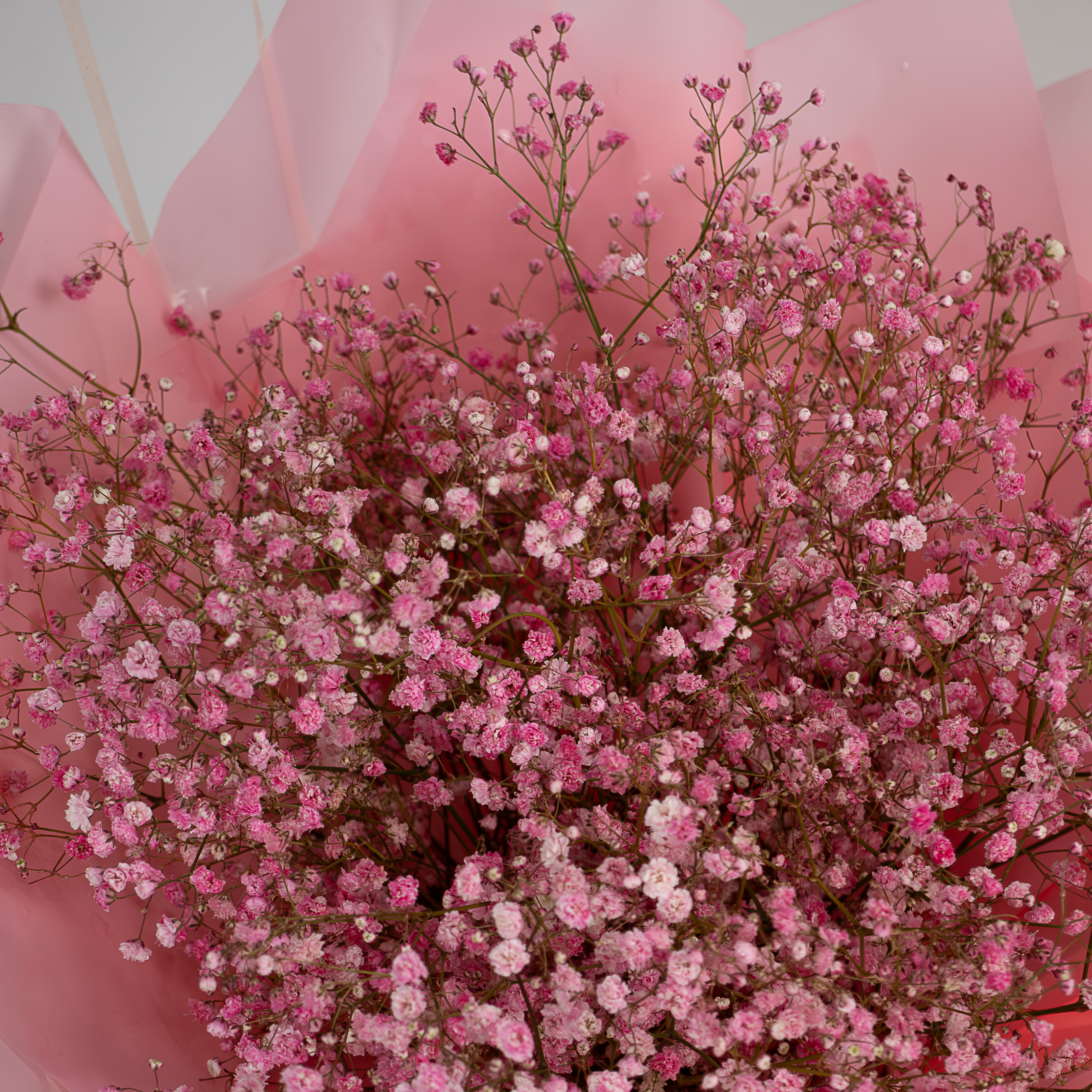 Pink Sky - Image 2