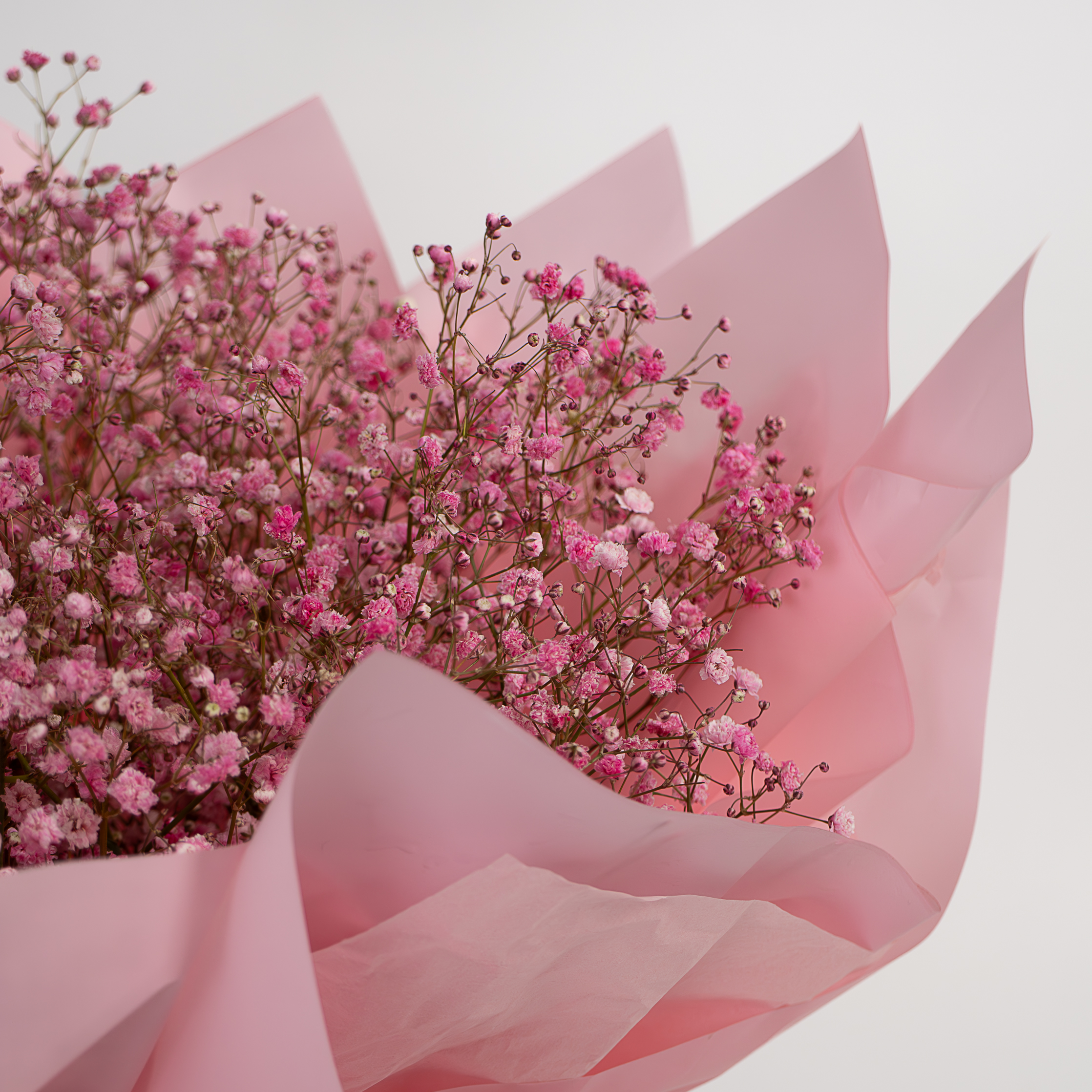 Pink Sky - Image 3