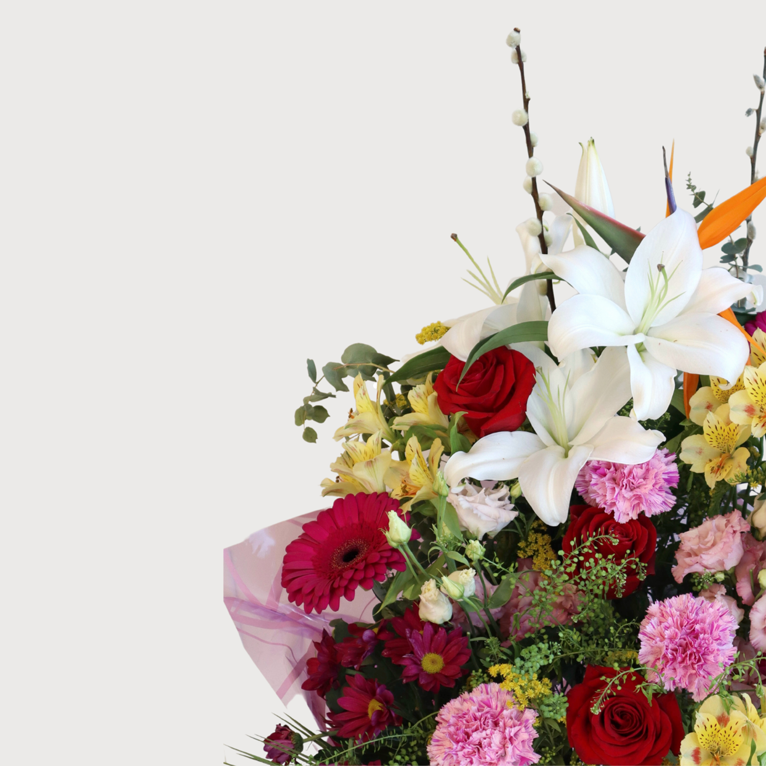 Pretty Passion - Image 2